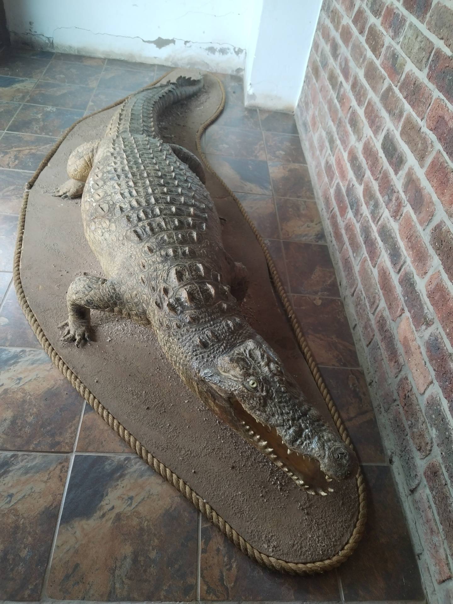 Thaba Kwena Crocodile Farm guided tour Modimolle Limpopo